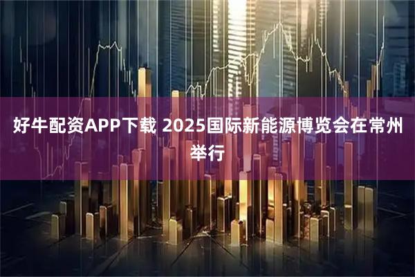 好牛配资APP下载 2025国际新能源博览会在常州举行